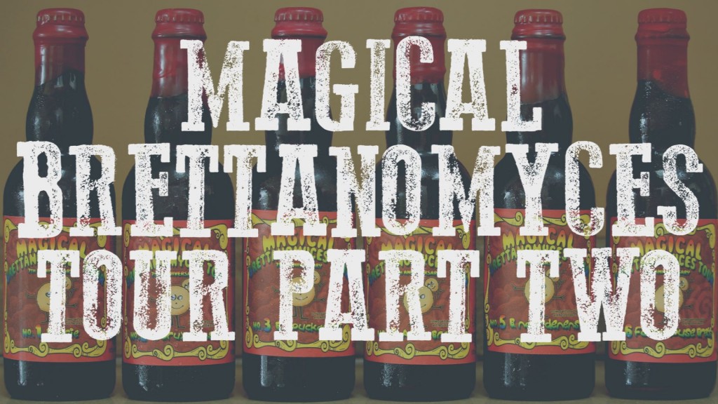 TRINITY BREWING MAGICAL BRETTANOMYCES TOUR PART TWO BLOG