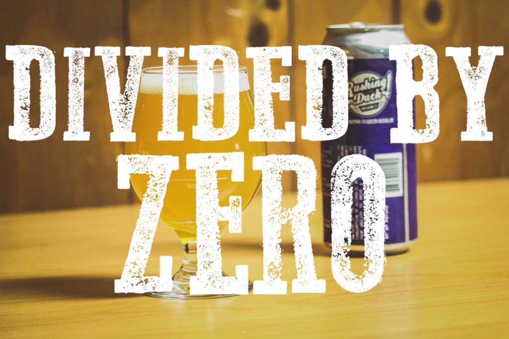 DIVIDED BY ZERO BLOG